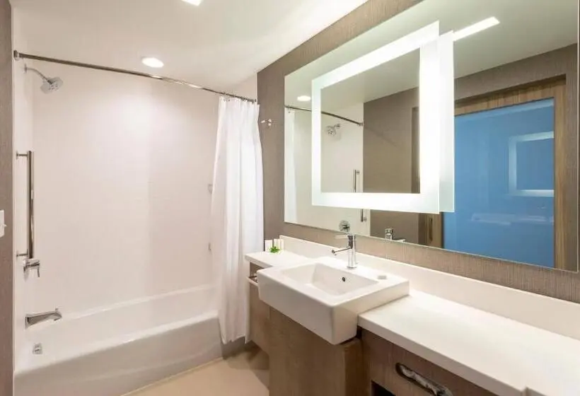 身障者適用スイートルーム, Springhill Suites Minneapolis Maple Grove/arbor Lakes