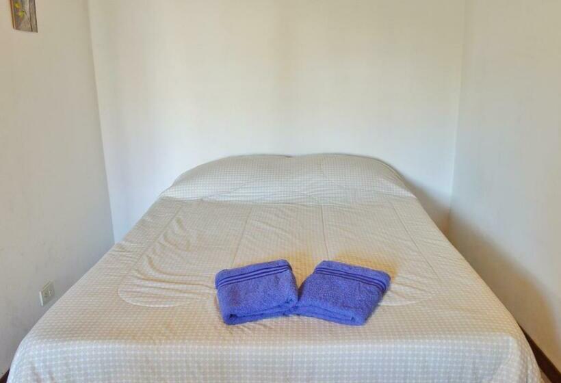 ガーデンビューのスタンダードワンルーム, The Blue Glacier