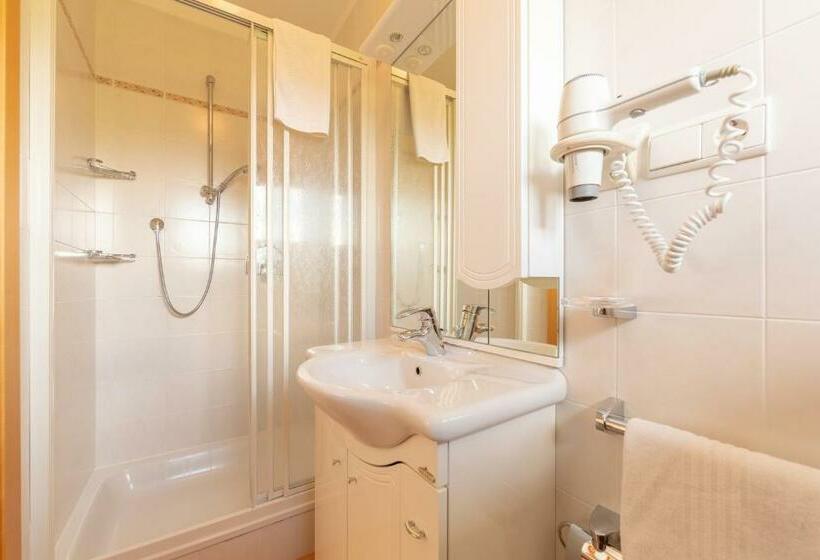 バルコニー付きシングルスタンダードルーム, Residence Trenker Luis