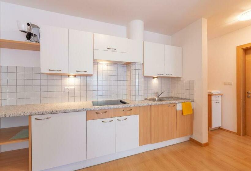 バルコニー付き1ベッドルームアパートメント, Residence Trenker Luis