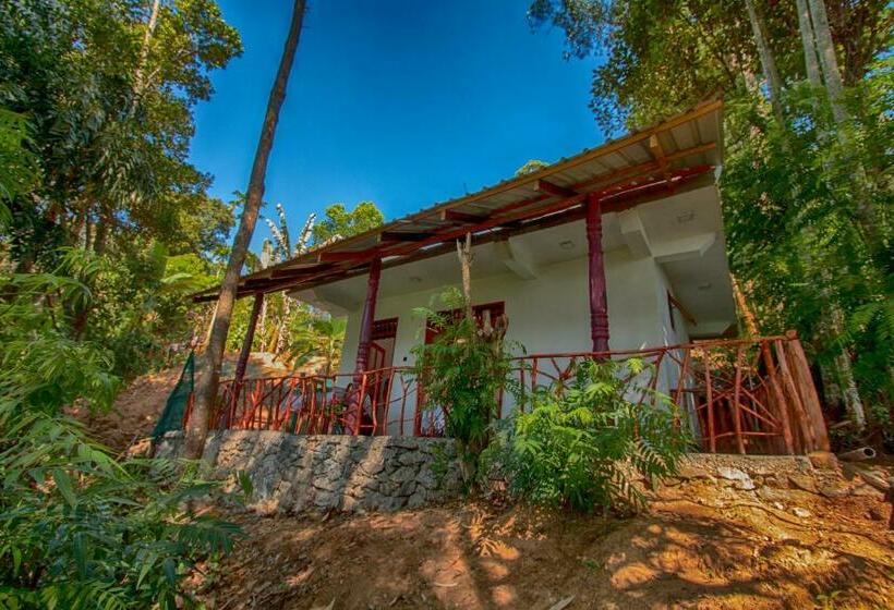 베이직 3인 룸, Dulmini Homestay