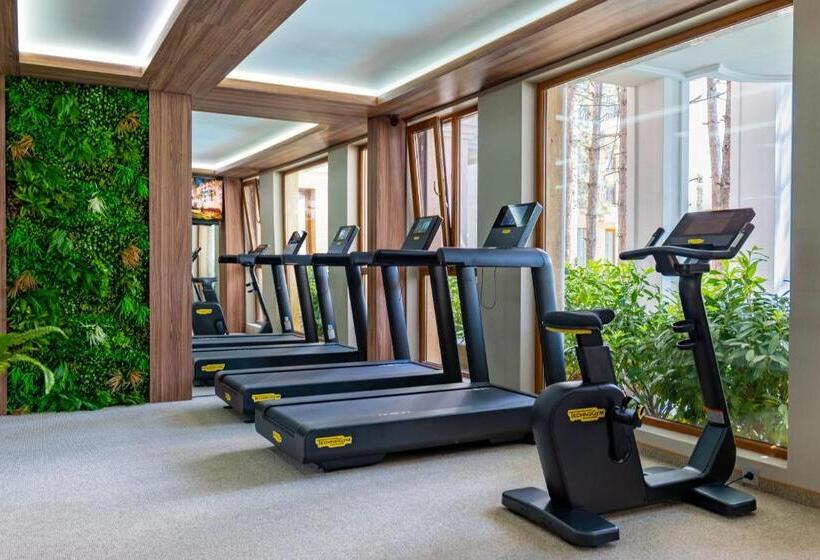 Номер Deluxe, Harmony Suites Grand Resort