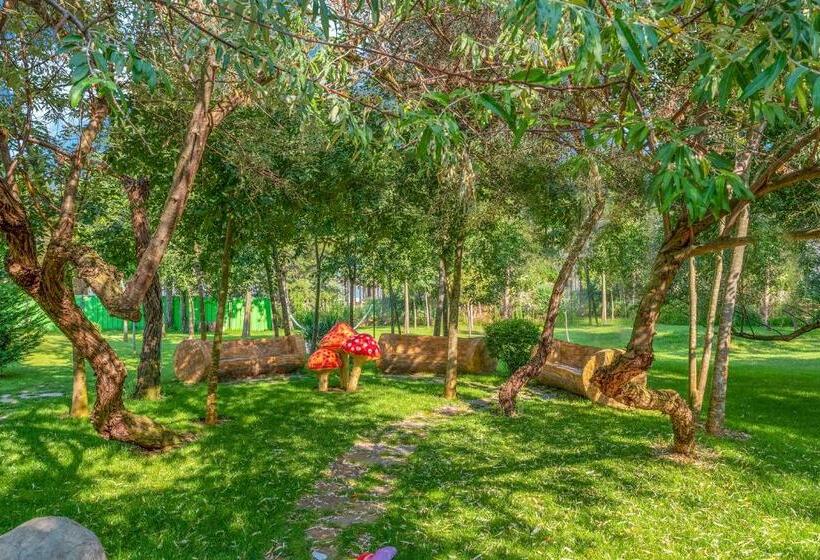 标准工作室, Harmony Suites Grand Resort