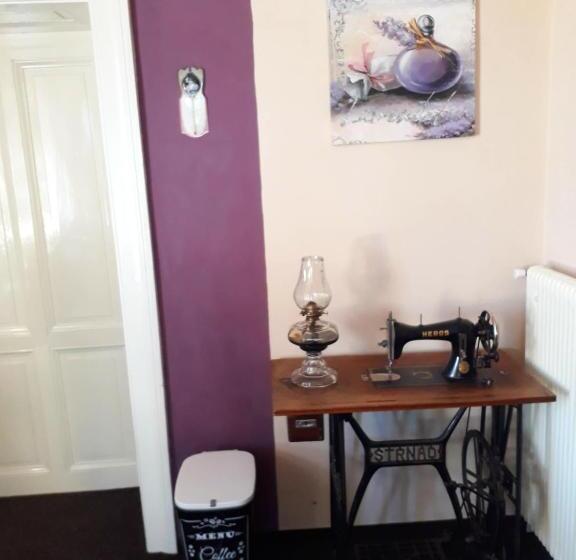 Апартаменты 1 Спальня, Penzion Romance