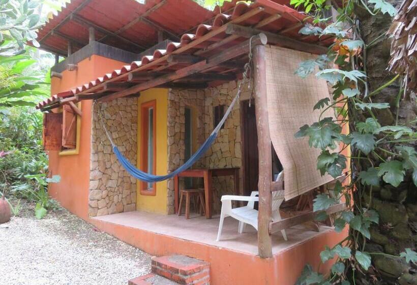 شقة غرفة واحدة, Casas Mal Pais