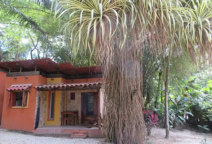 １ベッドルームアパートメント, Casas Mal Pais