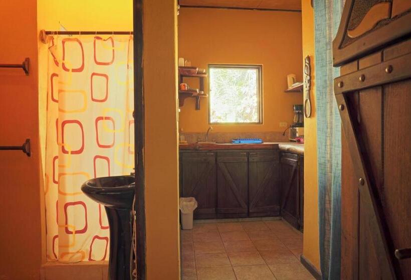 شقة غرفة واحدة, Casas Mal Pais