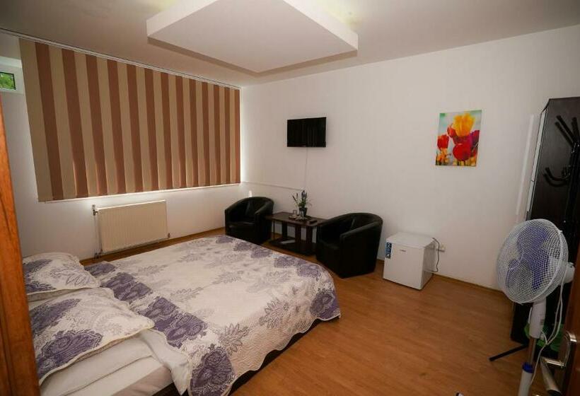 חדר סטנדרט עם מיטת קינג, Pensiunea Dolce