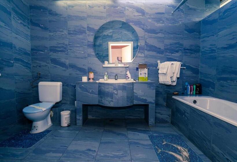 סטודיו סטנדרט, מיטה זוגית, Pensiunea Dolce