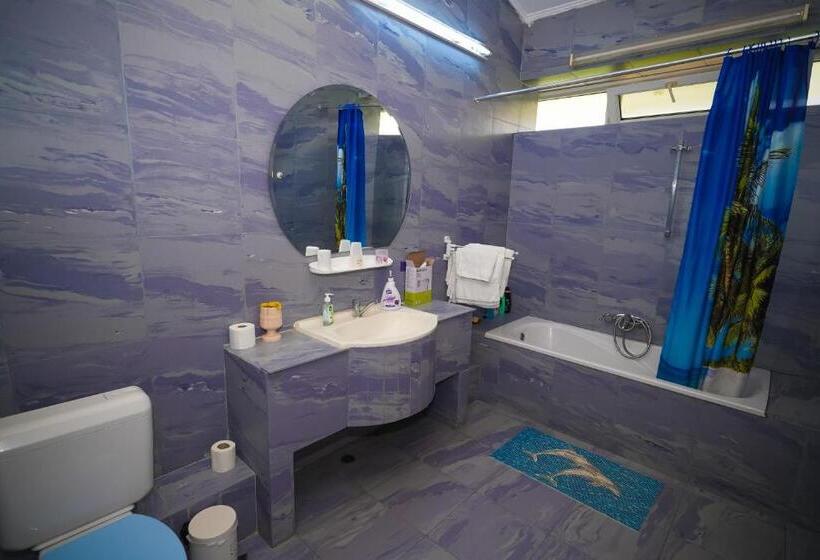 סטודיו סטנדרט, מיטה זוגית, Pensiunea Dolce