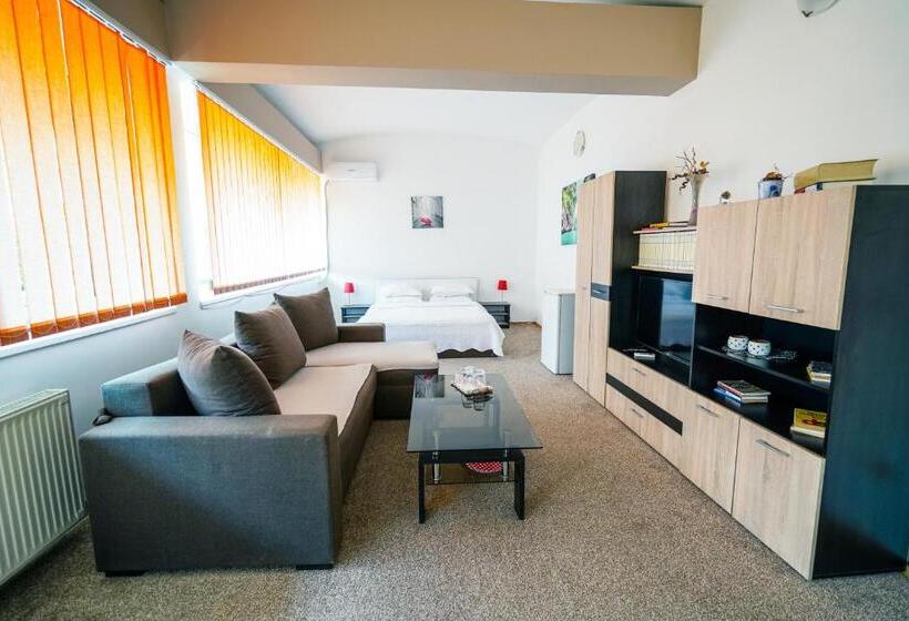 סטודיו סטנדרט, מיטה זוגית, Pensiunea Dolce