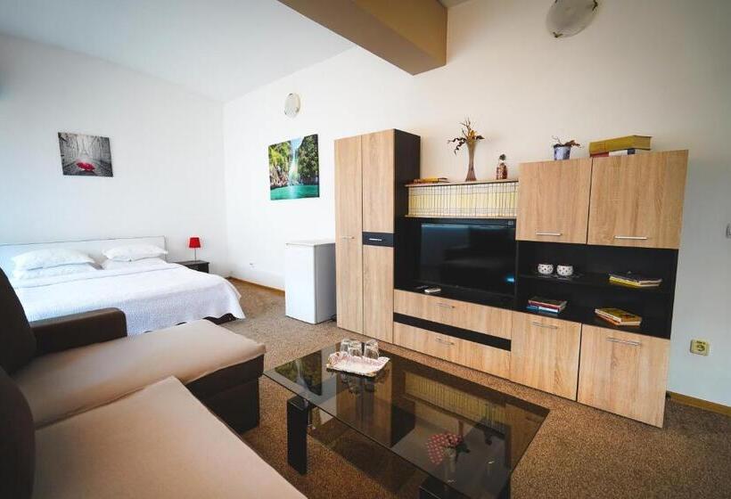 סטודיו סטנדרט, מיטה זוגית, Pensiunea Dolce