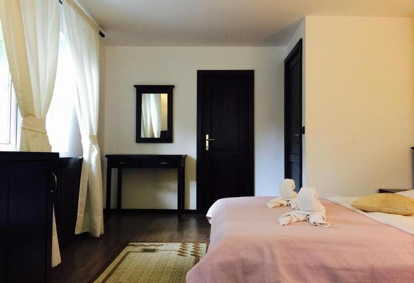 اتاق استاندارد, Casa Codrin