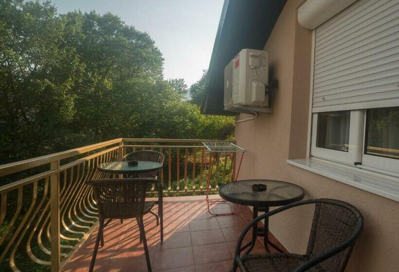 اتاق خانوادگی, Cicvaric Rooms