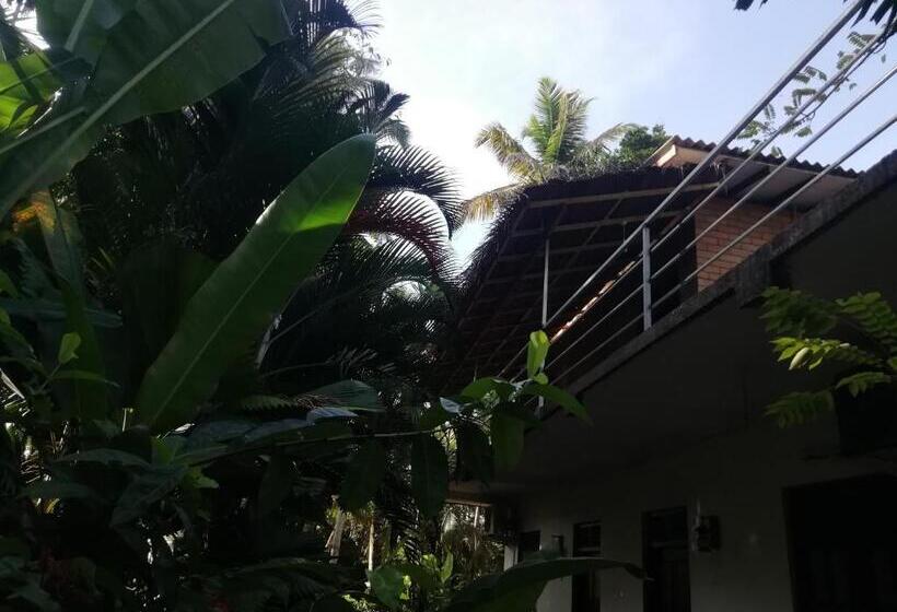 اتاق لوکس, Jungle Guest ,mirissa