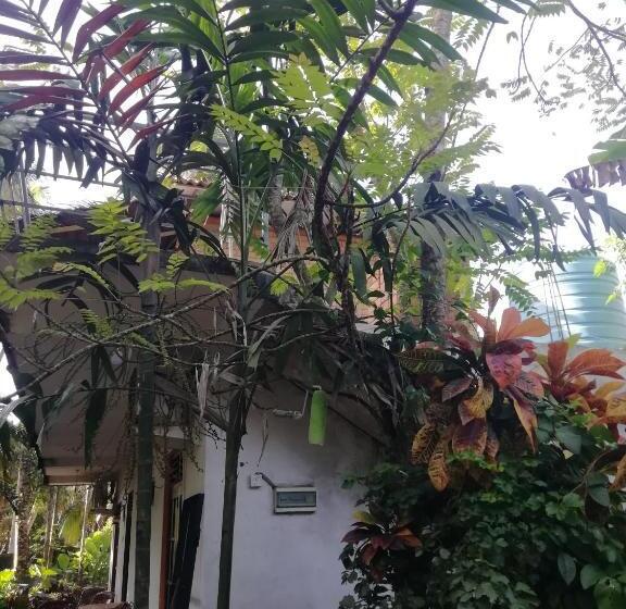 디럭스 패밀리 룸, Jungle Guest ,mirissa