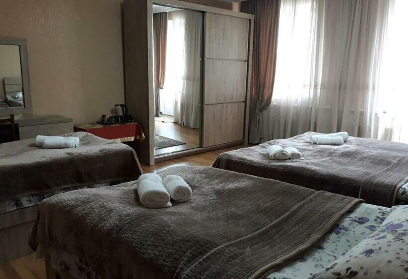 带阳台标准四人间, Kazbegi Guide