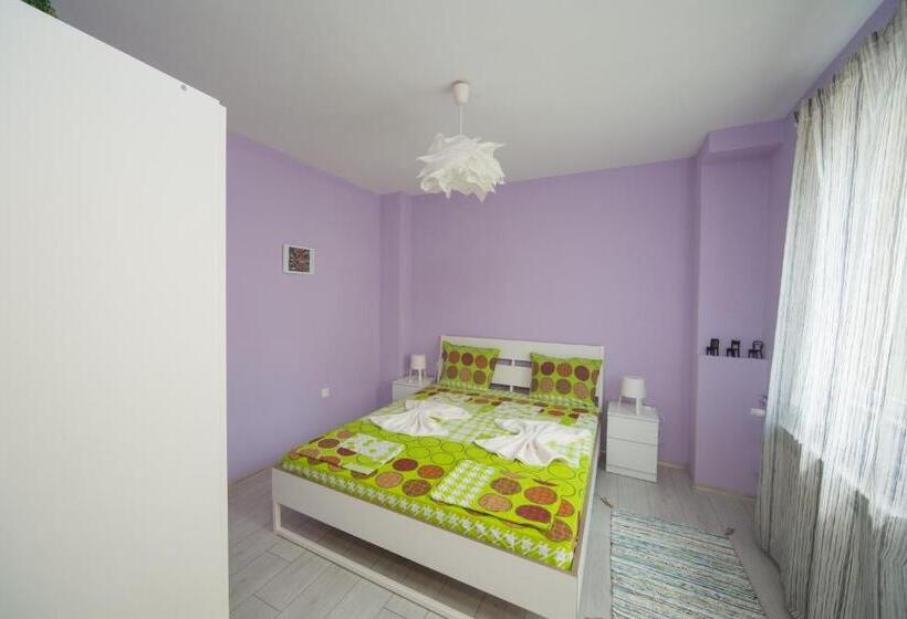 Estúdio Superior, Peter Pan House