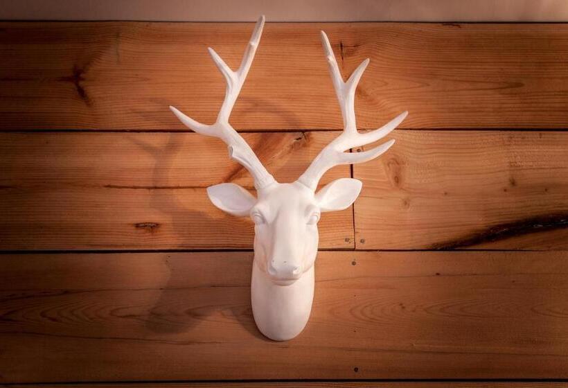 一居室别墅, Ty Gîte