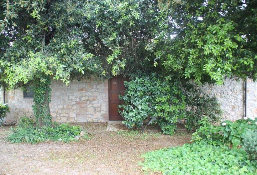 غرفة قياسية, Case Cordovani