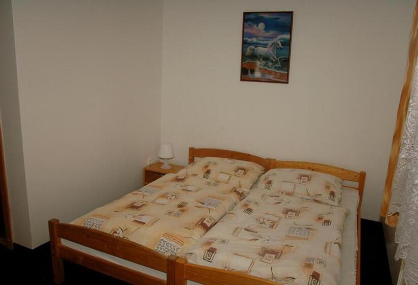 Standard-huone, Penzion Daniela
