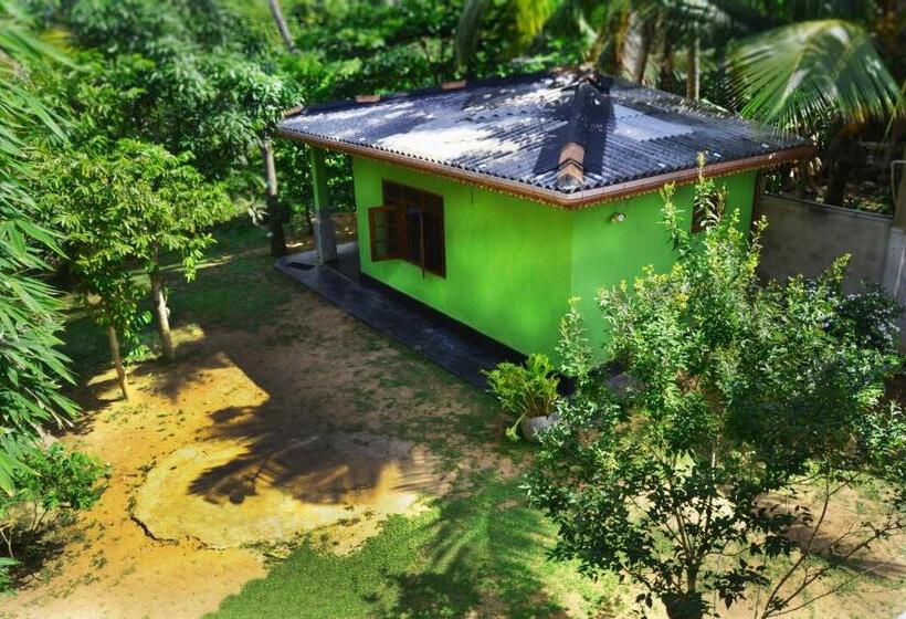 Номер Economy, The Citadel Guest House