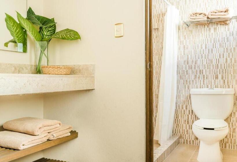 آپارتمان 1 خوابه, Suites Parador Santo Domingo De G