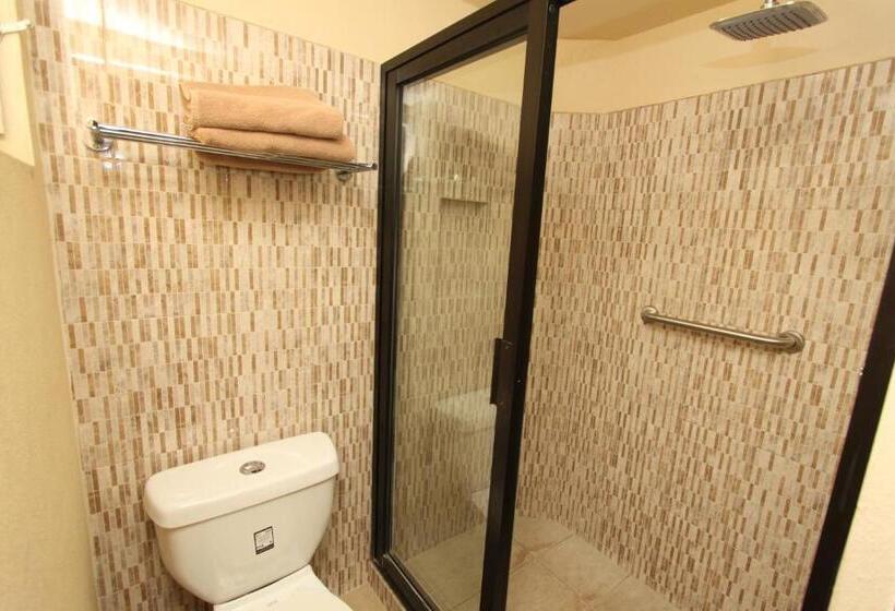 آپارتمان 1 خوابه, Suites Parador Santo Domingo De G