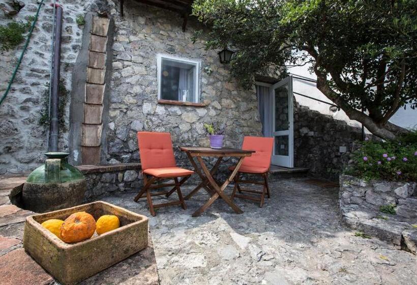 جناح جونيور مطلّ علي البحر, Eleanor' S Garden