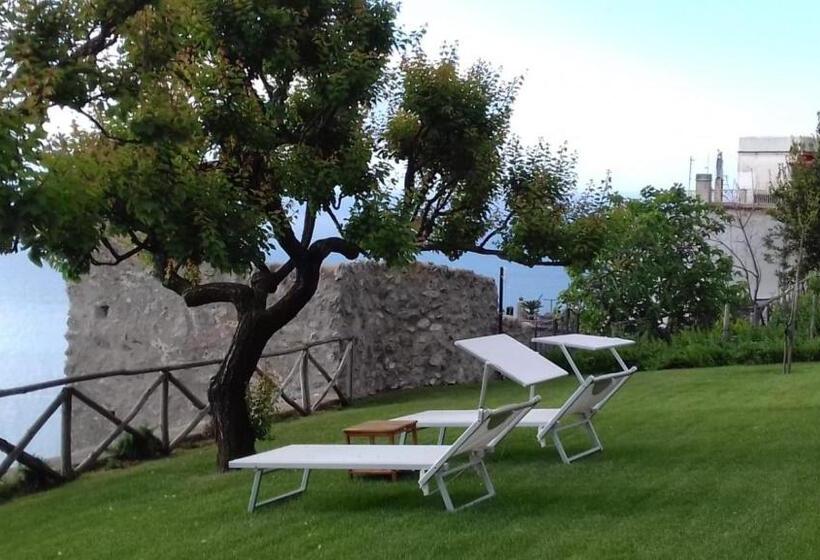 غرفة دوبلكس, Eleanor' S Garden