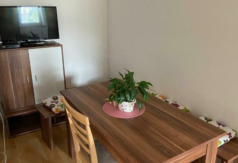 דירת שלושה חדרים, Penzion Bamako