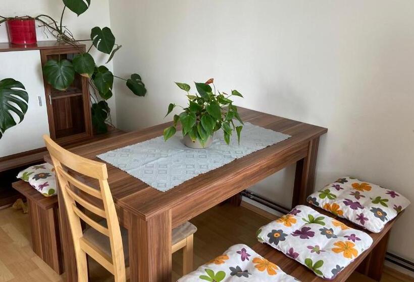 דירת שני חדרים, Penzion Bamako