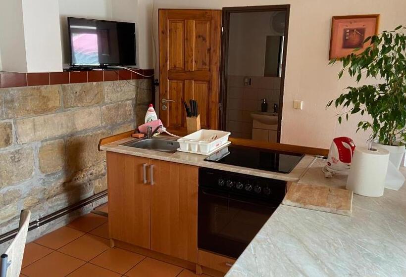 חדר סטנדרט לארבעה, Penzion Bamako