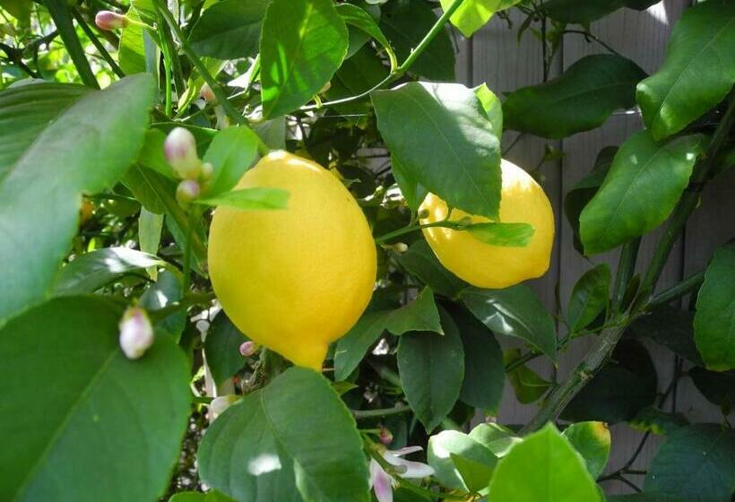 اتاق لوکس با بالکن, Vesuview Guest House Near The Ruins