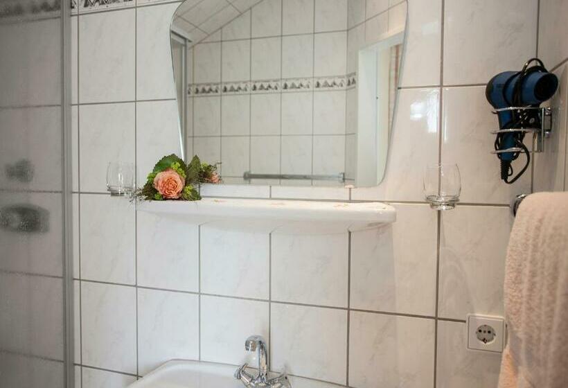 آپارتمان 1 خوابه, Pension Haus Brieden