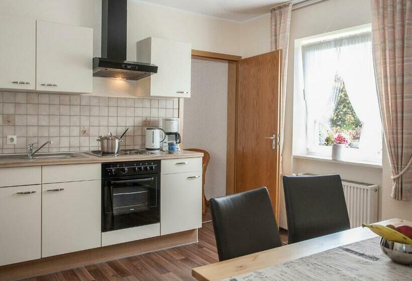 آپارتمان 1 خوابه, Pension Haus Brieden