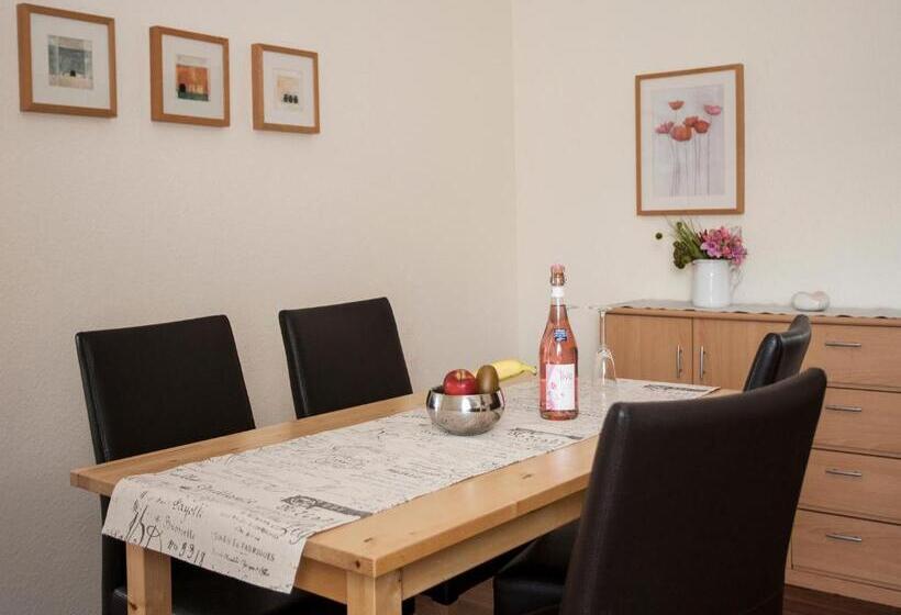 آپارتمان 1 خوابه, Pension Haus Brieden