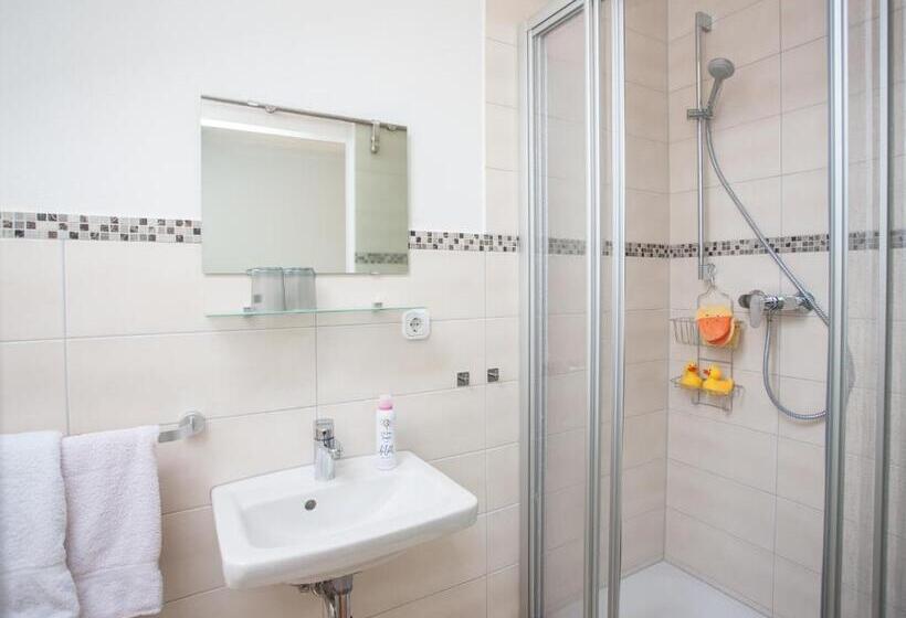 آپارتمان 1 خوابه, Pension Haus Brieden