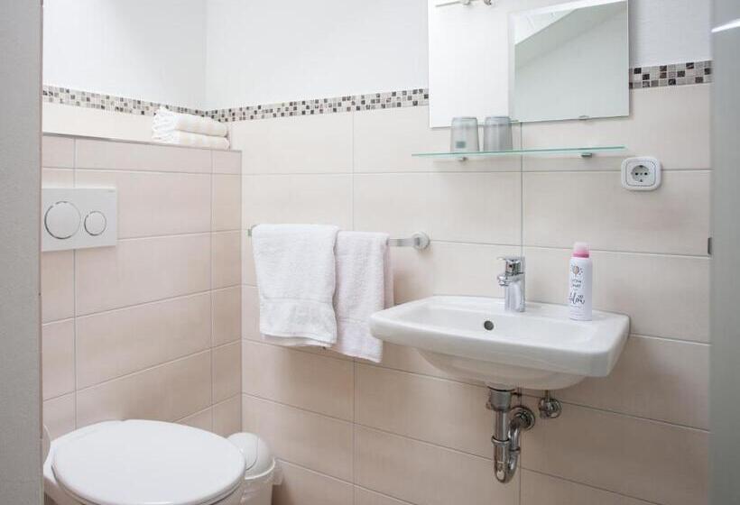 آپارتمان 1 خوابه, Pension Haus Brieden