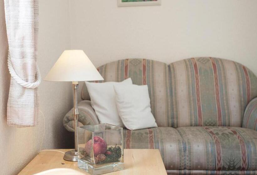 آپارتمان 1 خوابه, Pension Haus Brieden