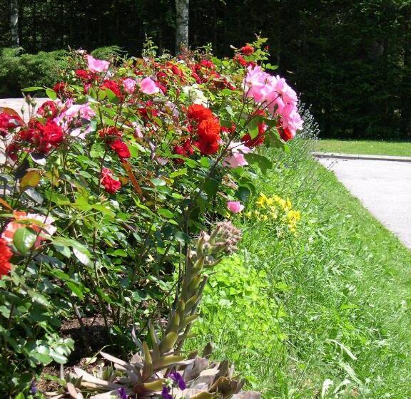 标准间带阳台, Pension Holzmann