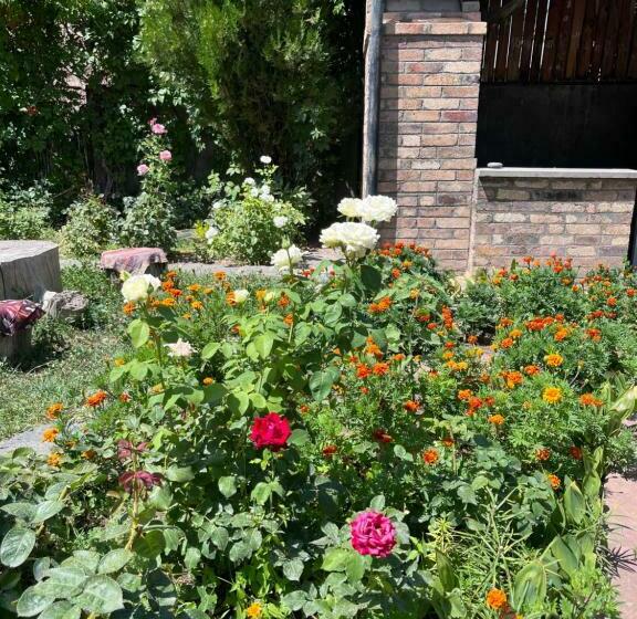 اتاق لوکس, Apricot Tree B&b