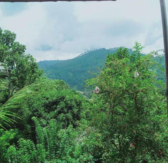 Семейный Номер, Misty View Inn