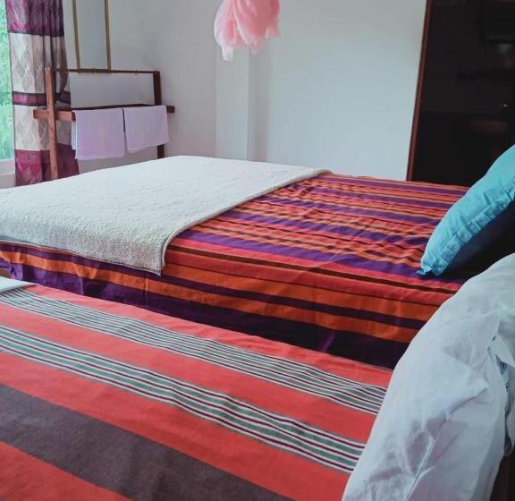 Номер Deluxe, Misty View Inn