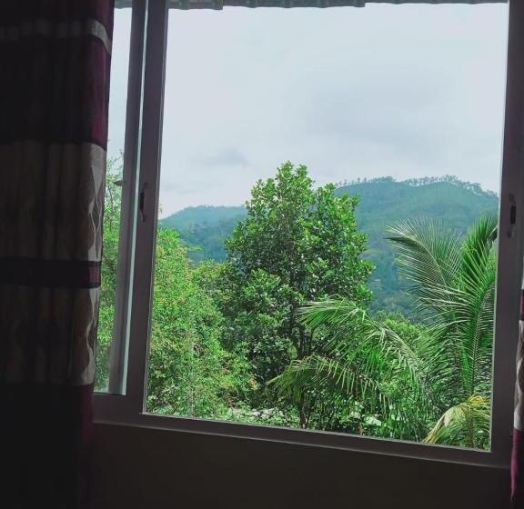 Номер Deluxe, Misty View Inn