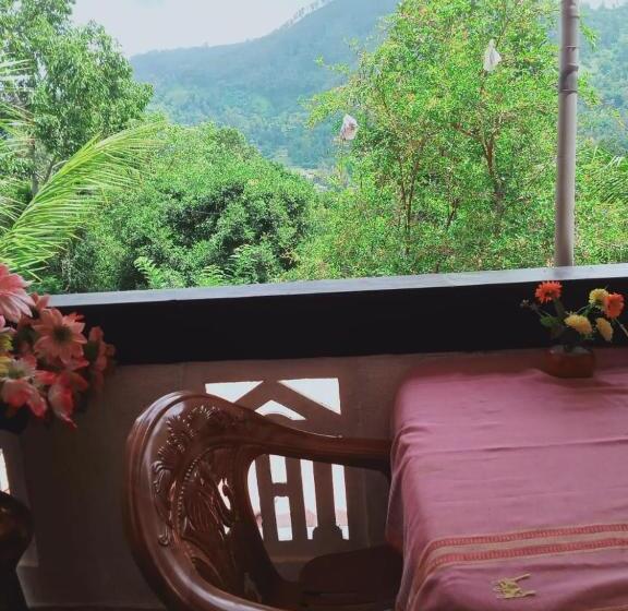 Номер Deluxe, Misty View Inn