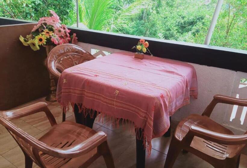 Номер Deluxe, Misty View Inn