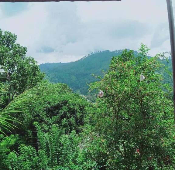 Номер Deluxe, Misty View Inn