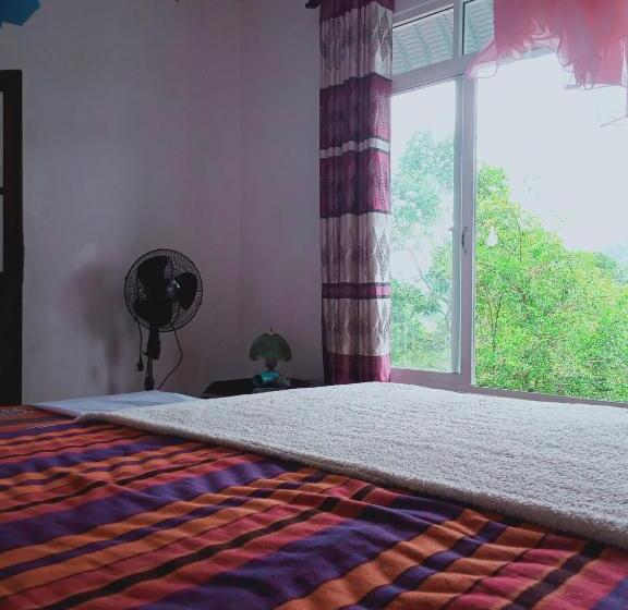 Номер Deluxe, Misty View Inn