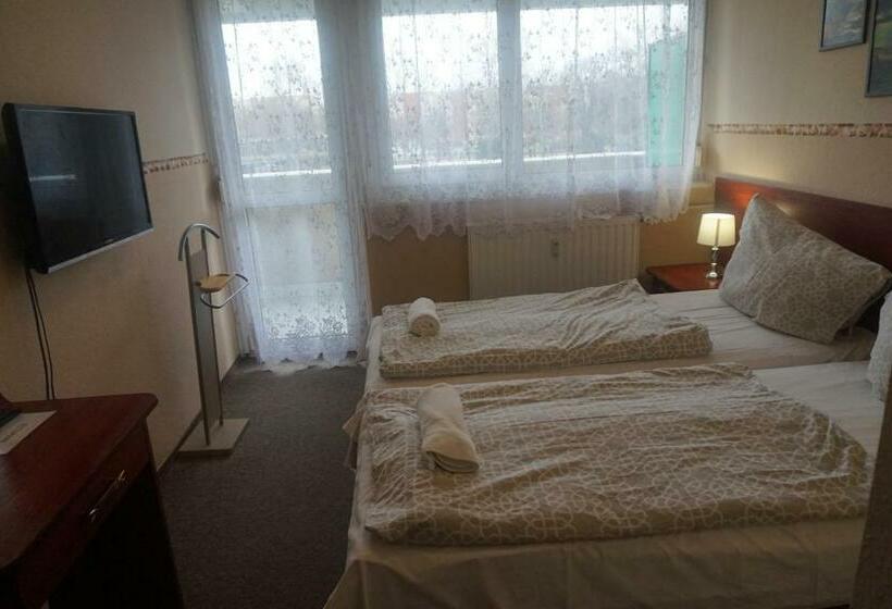 标准间带阳台, Ajka